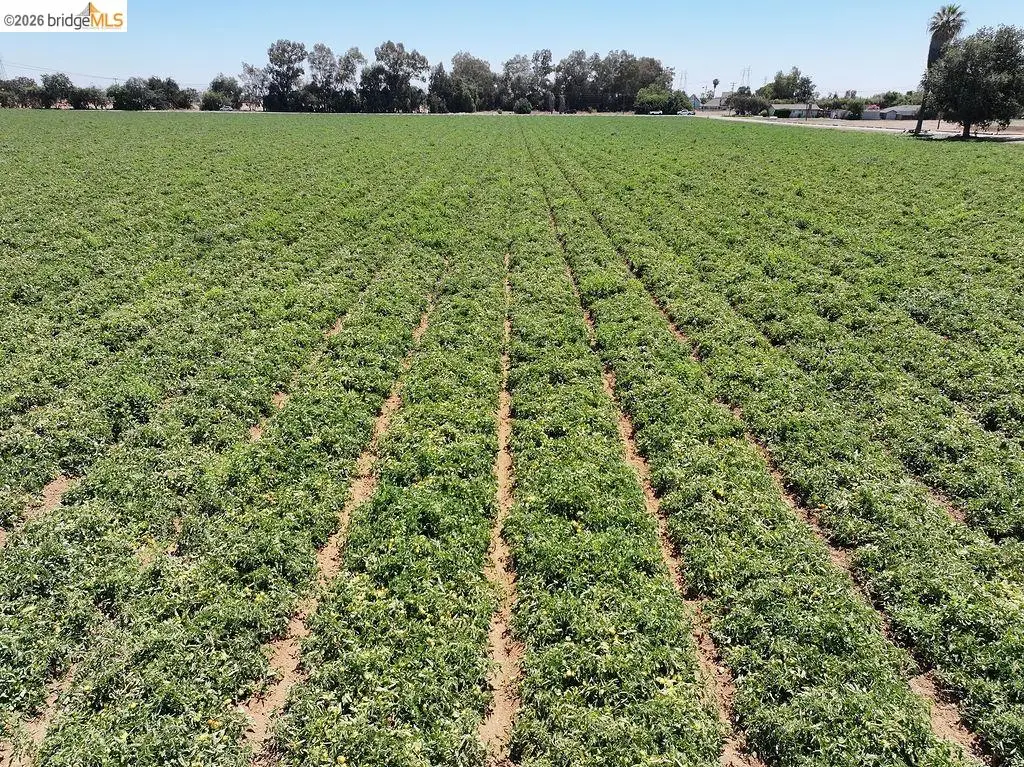 Bixler Rd, Byron, CA 94514 - #1