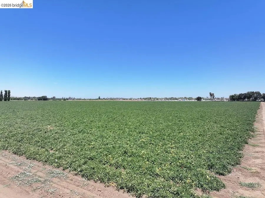 Bixler Rd, Byron, CA 94514 - #2