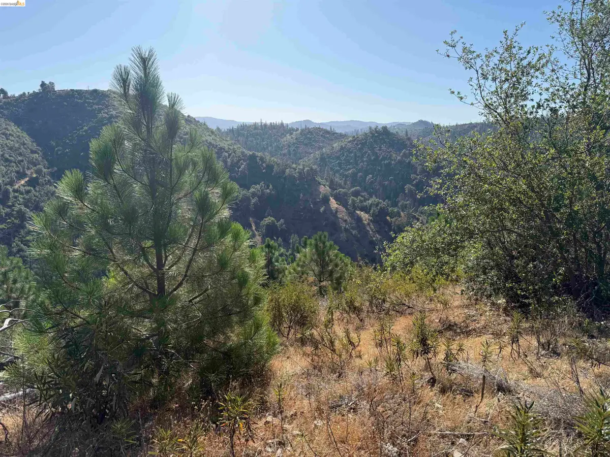 00000 Old Greek Mine, Mokelumne Hill, CA 95245 - #1