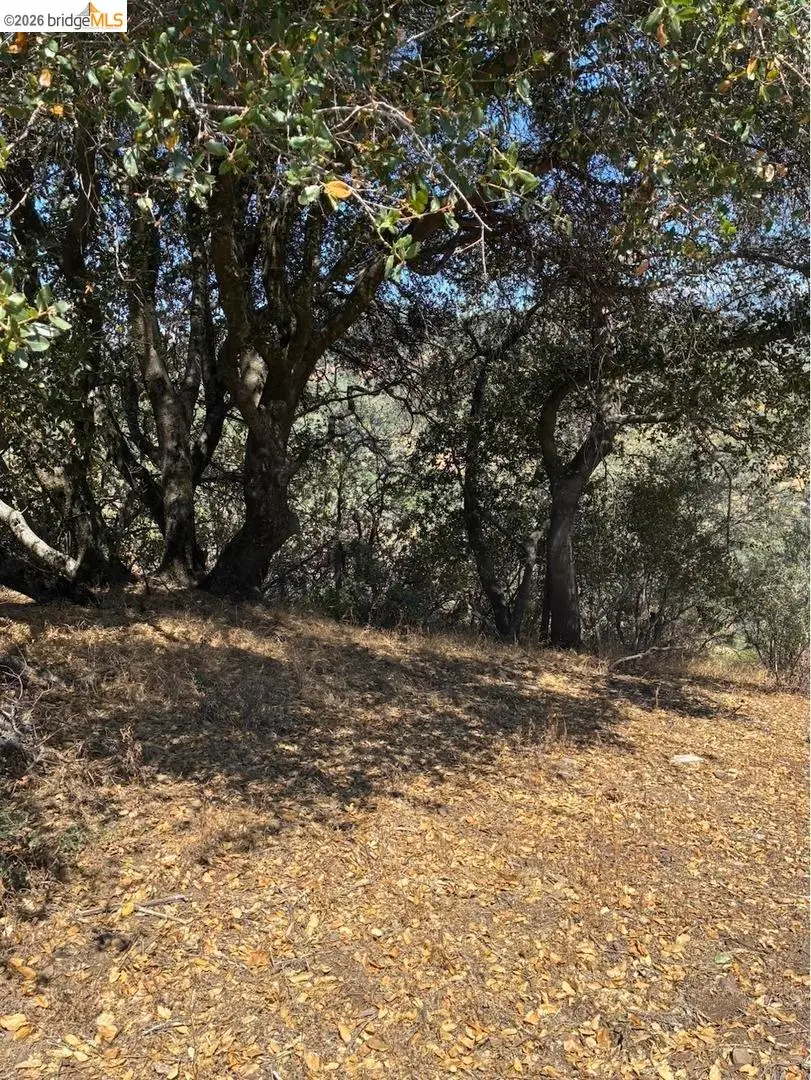 21289 Oman Dr., Soulsbyville, CA 95372 - #3
