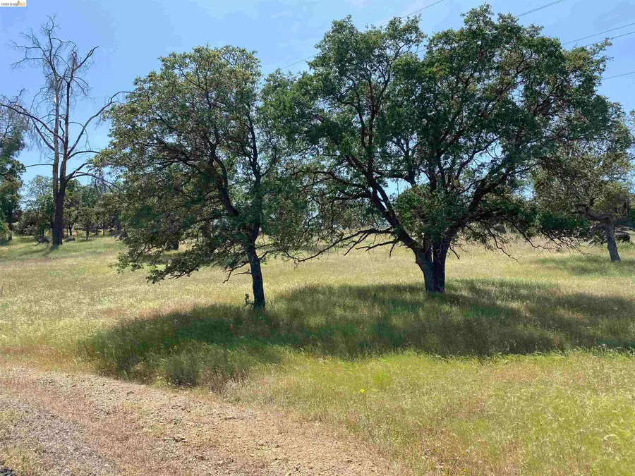 4880 Kendall Ct., Jamestown, CA 95327 - #2