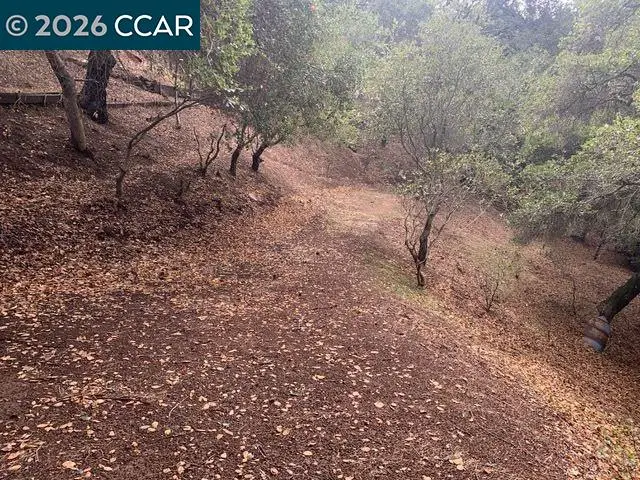 Mountain View Ave, Oakland, CA 94605 - #1