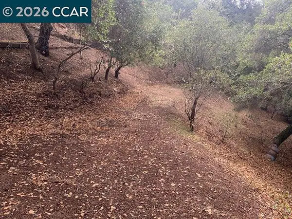 Mountain View Ave, Oakland, CA 94605