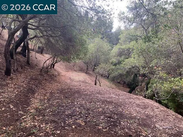 Mountain View Ave, Oakland, CA 94605 - #3