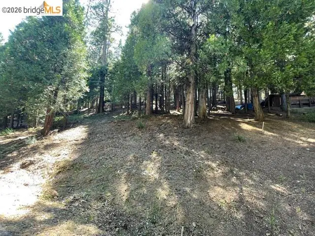Parcel 34 Sno Bowl Rd, Long Barn, CA 95346 - #1