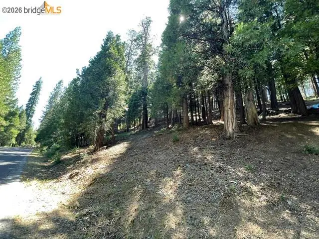 Parcel 34 Sno Bowl Rd, Long Barn, CA 95346 - #2