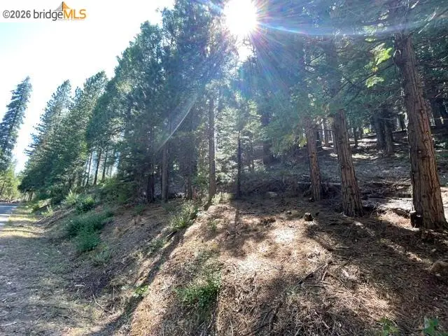 Parcel 34 Sno Bowl Rd, Long Barn, CA 95346 - #3