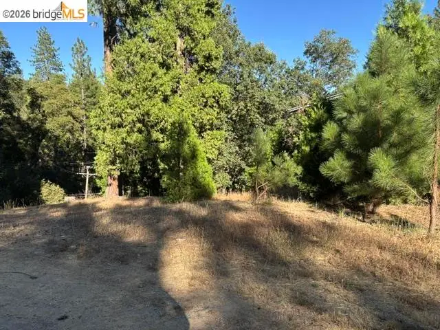 Wildcat Ridge, Sonora, CA 95370 - #2