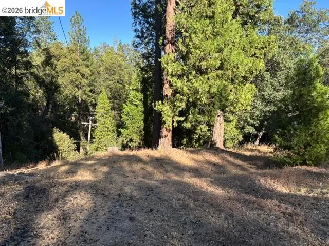Wildcat Ridge, Sonora, CA 95370 - #3