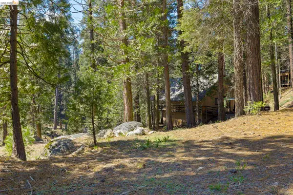31545 Kell Lane, Strawberry, CA 95375