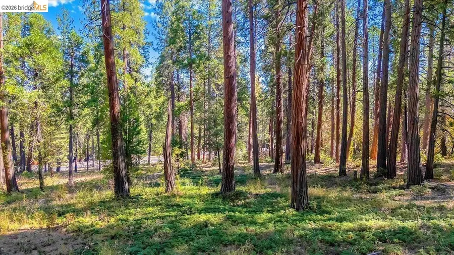 4610 E Highway 4, Murphys, CA 95247 - #2