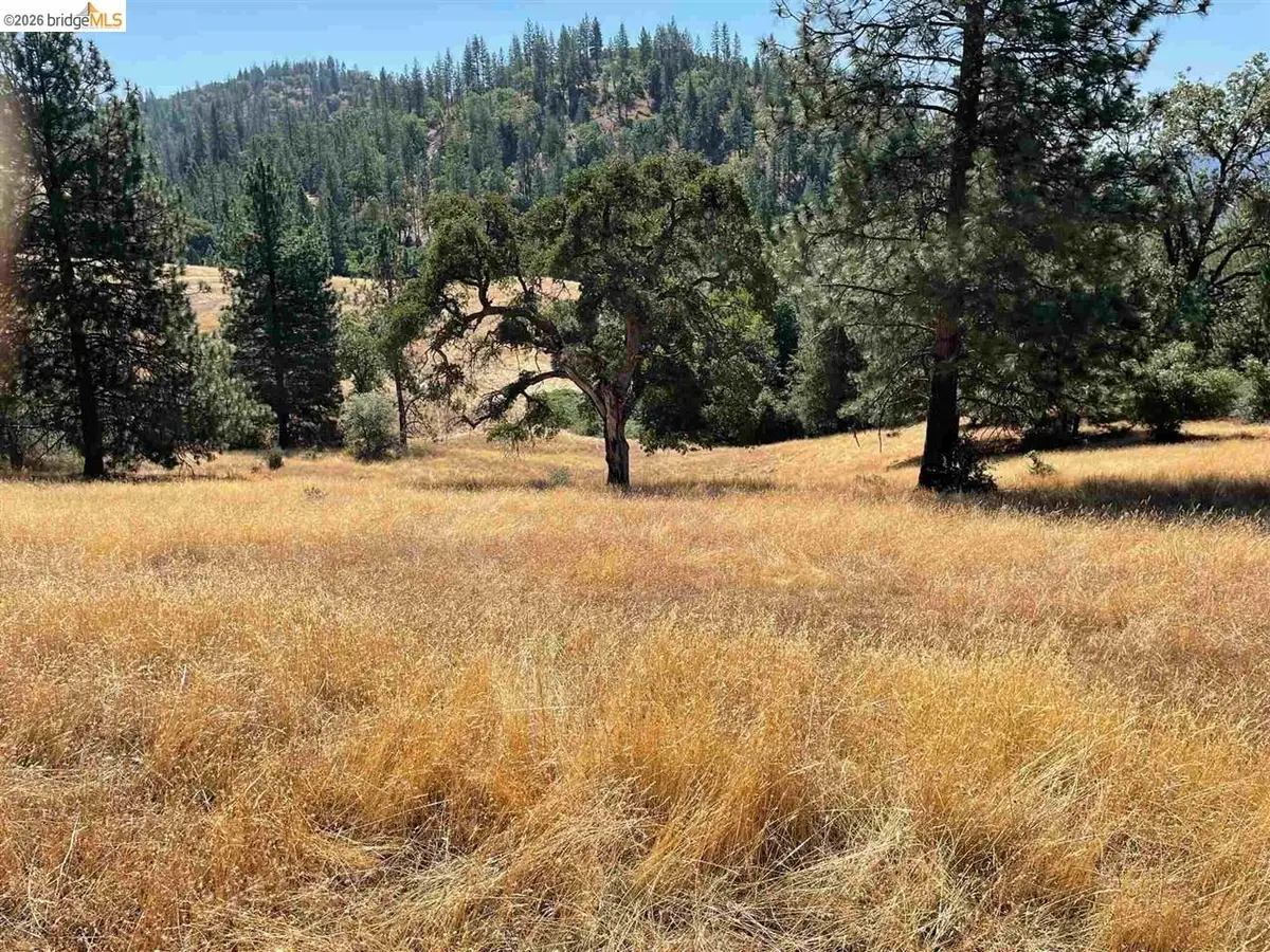 00000 Forrest Rd 1n19, Tuolumne, CA 95379 - #1