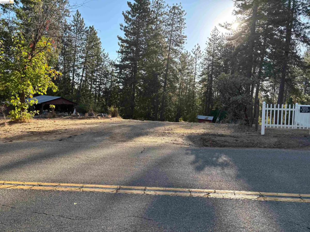 10162 Holtzel Road, Coulterville, CA 95311 - #1