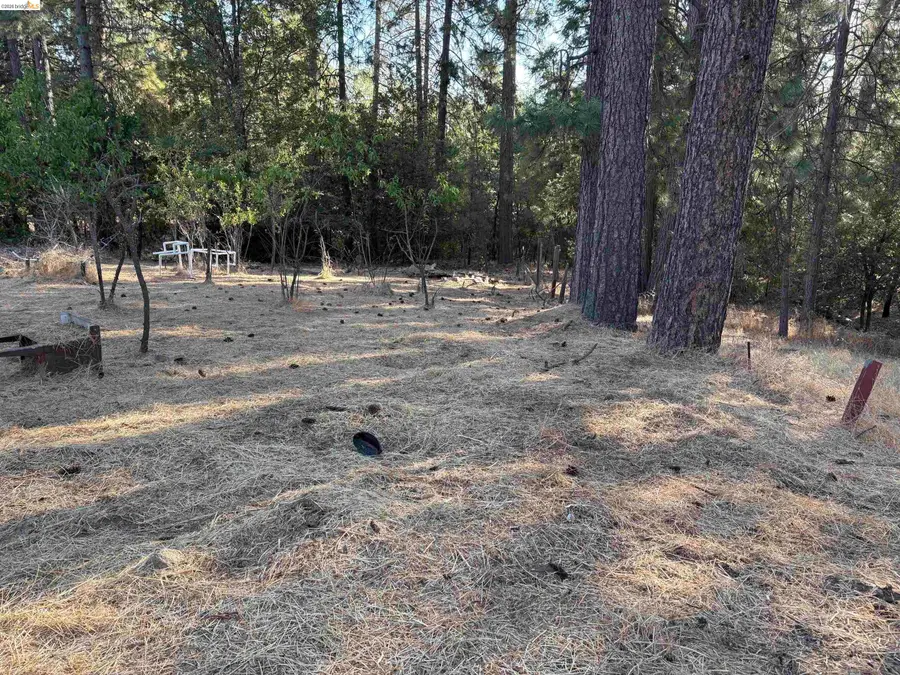 10162 Holtzel Road, Coulterville, CA 95311 - #3
