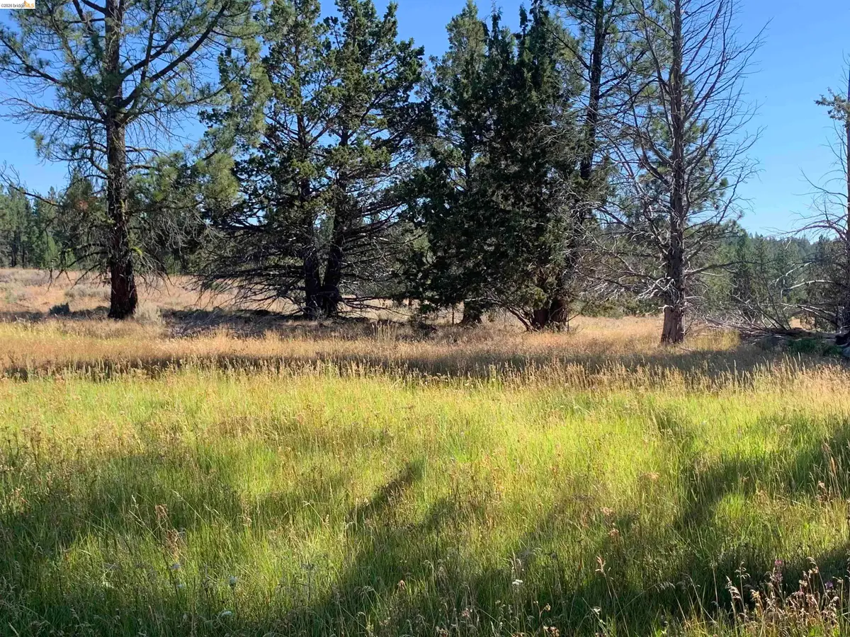 Address Withheld By Seller, Susanville, CA 96127 - #1