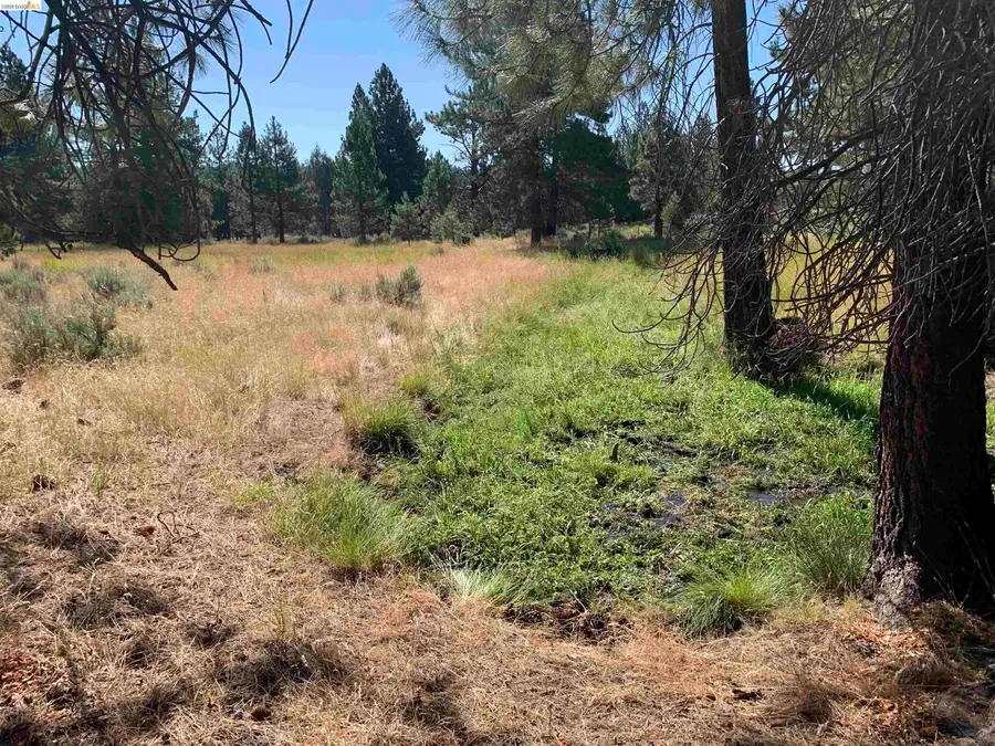Address Withheld By Seller, Susanville, CA 96127 - #2