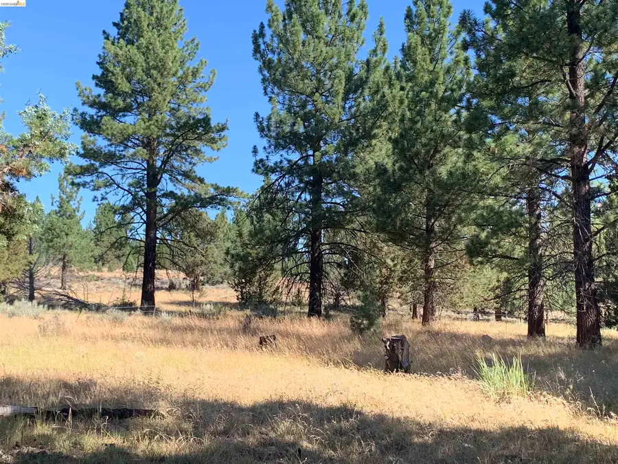 Address Withheld By Seller, Susanville, CA 96127 - #3