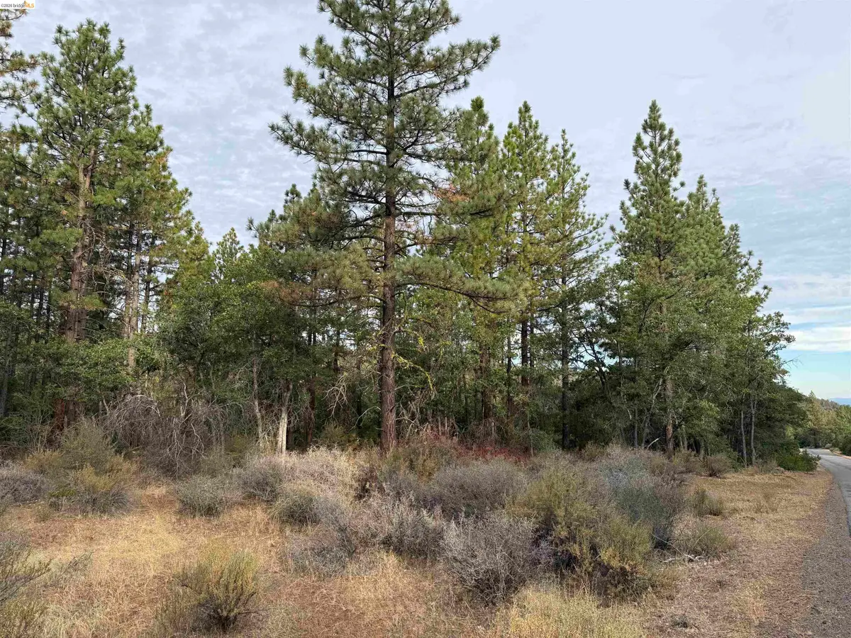 00000 Little Vallley, Little Valley, CA 96056 - #1