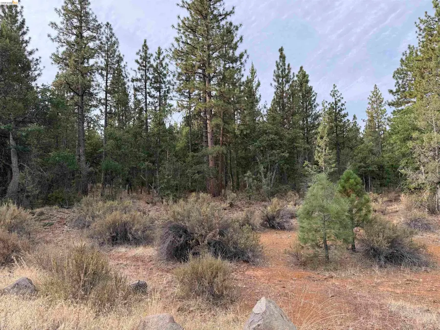 00000 Little Vallley, Little Valley, CA 96056 - #2