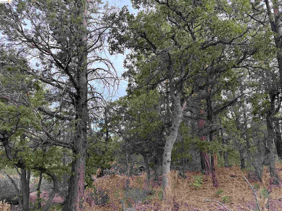 00000 Little Vallley, Little Valley, CA 96056 - #3