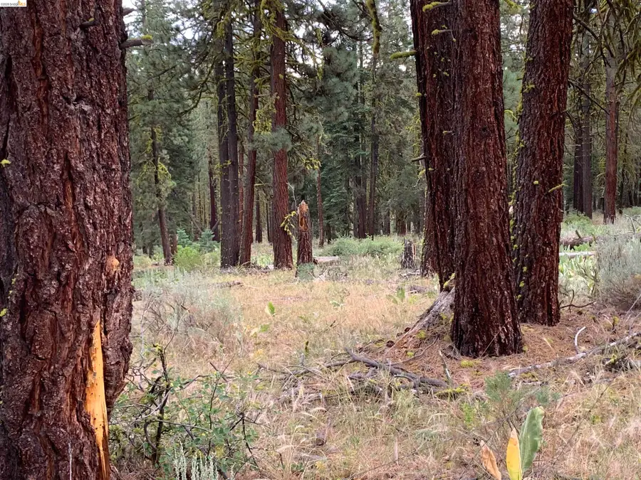 00000 West Wing, Susanville, CA 96127 - #2