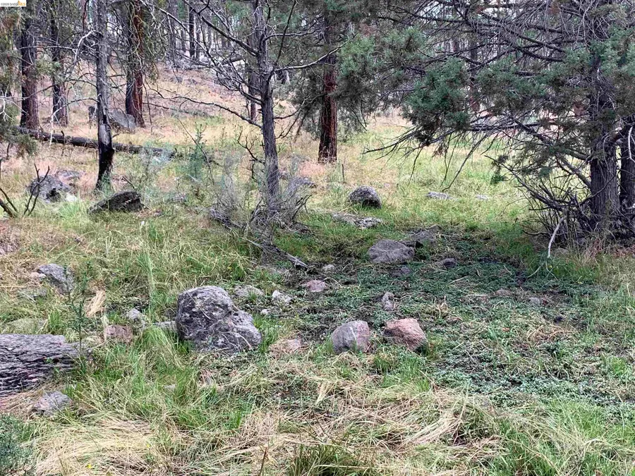00000 Butte Creek Rd, Susanville, CA 96127 - #3