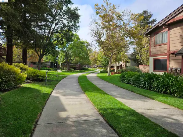 247 E Warren Cmn, Fremont, CA 94539