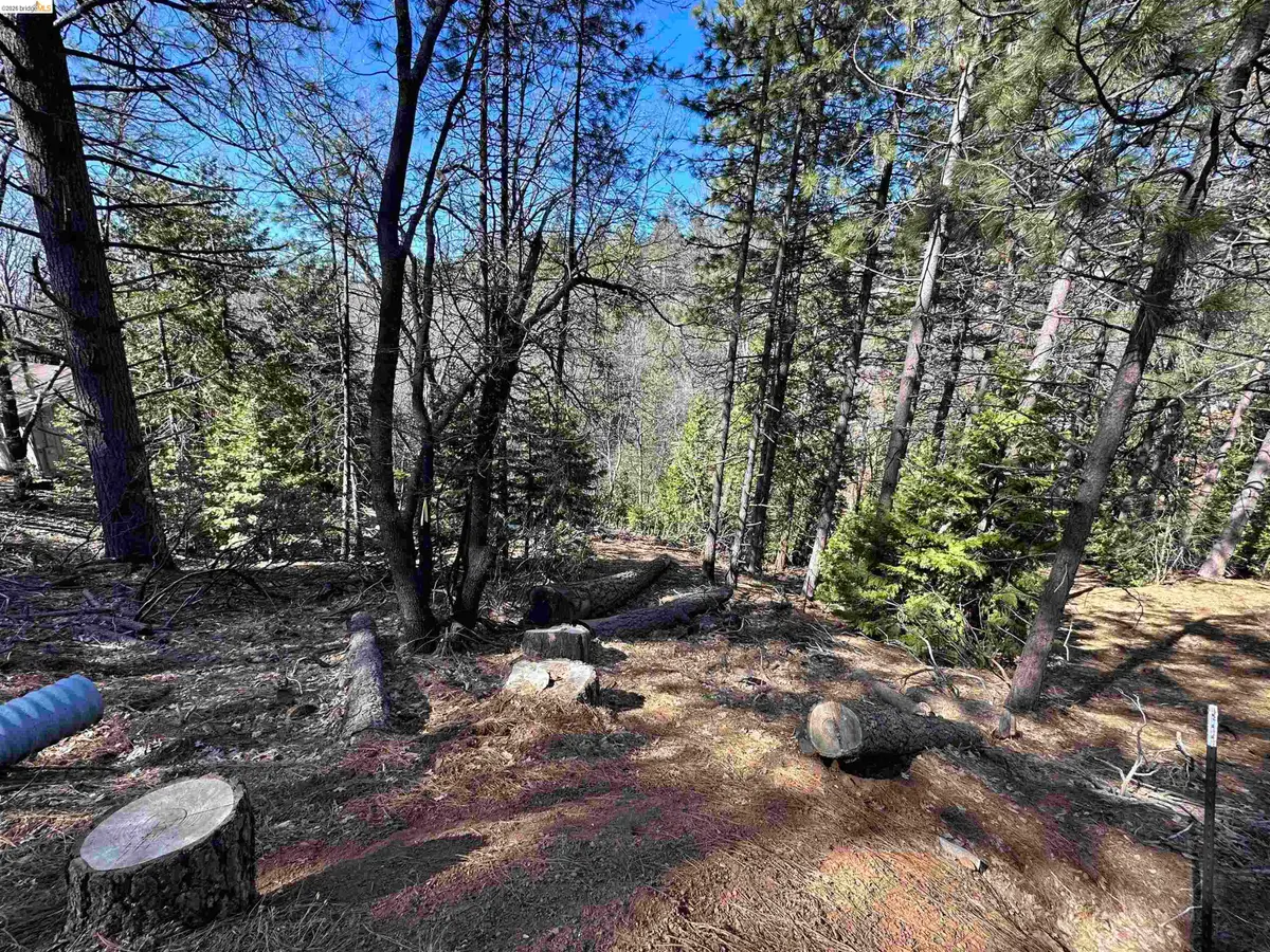 23956 Stable Rd, Sonora, CA 95370 - #1