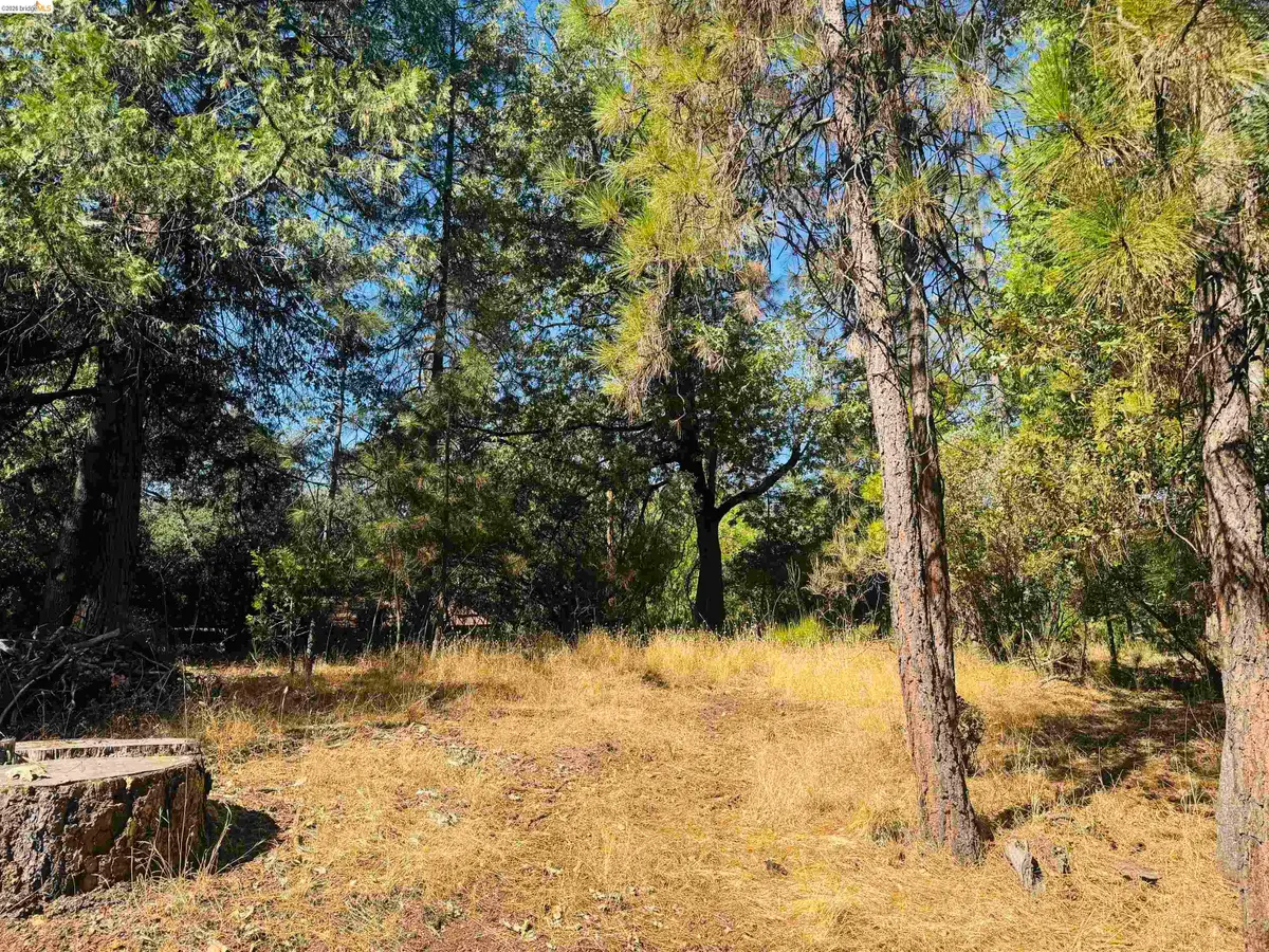 0 American River, Sonora, CA 95370 - #1
