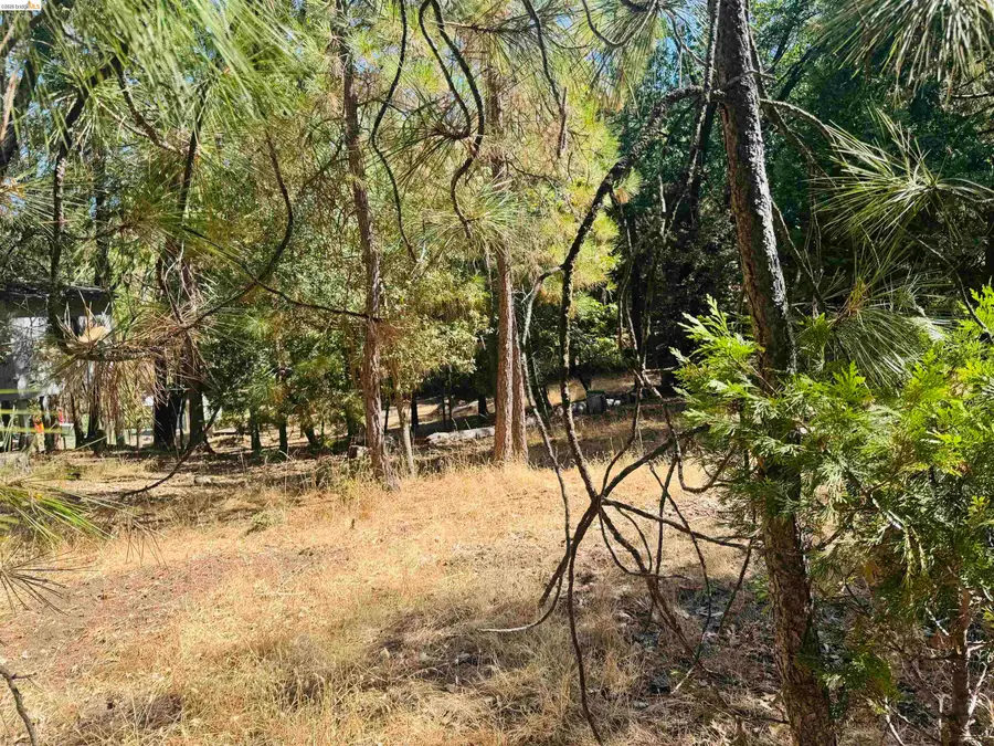0 American River, Sonora, CA 95370 - #2