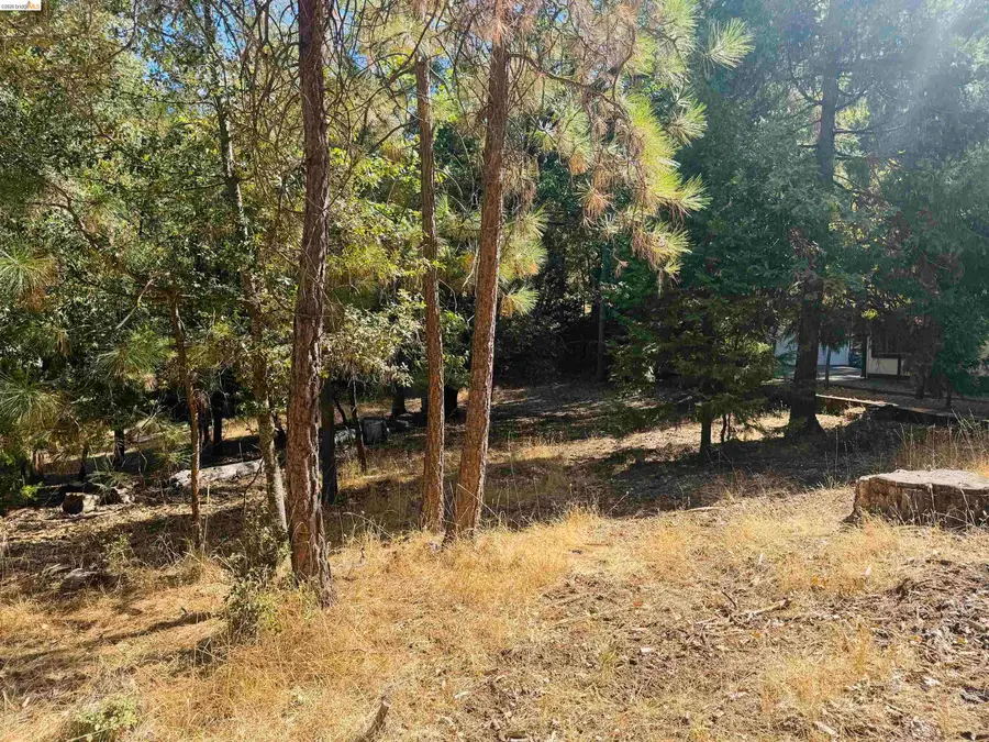 0 American River, Sonora, CA 95370 - #3
