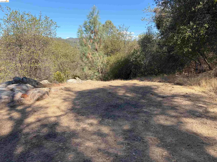 13643 Terrace Dr, Sonora, CA 95370 - #2