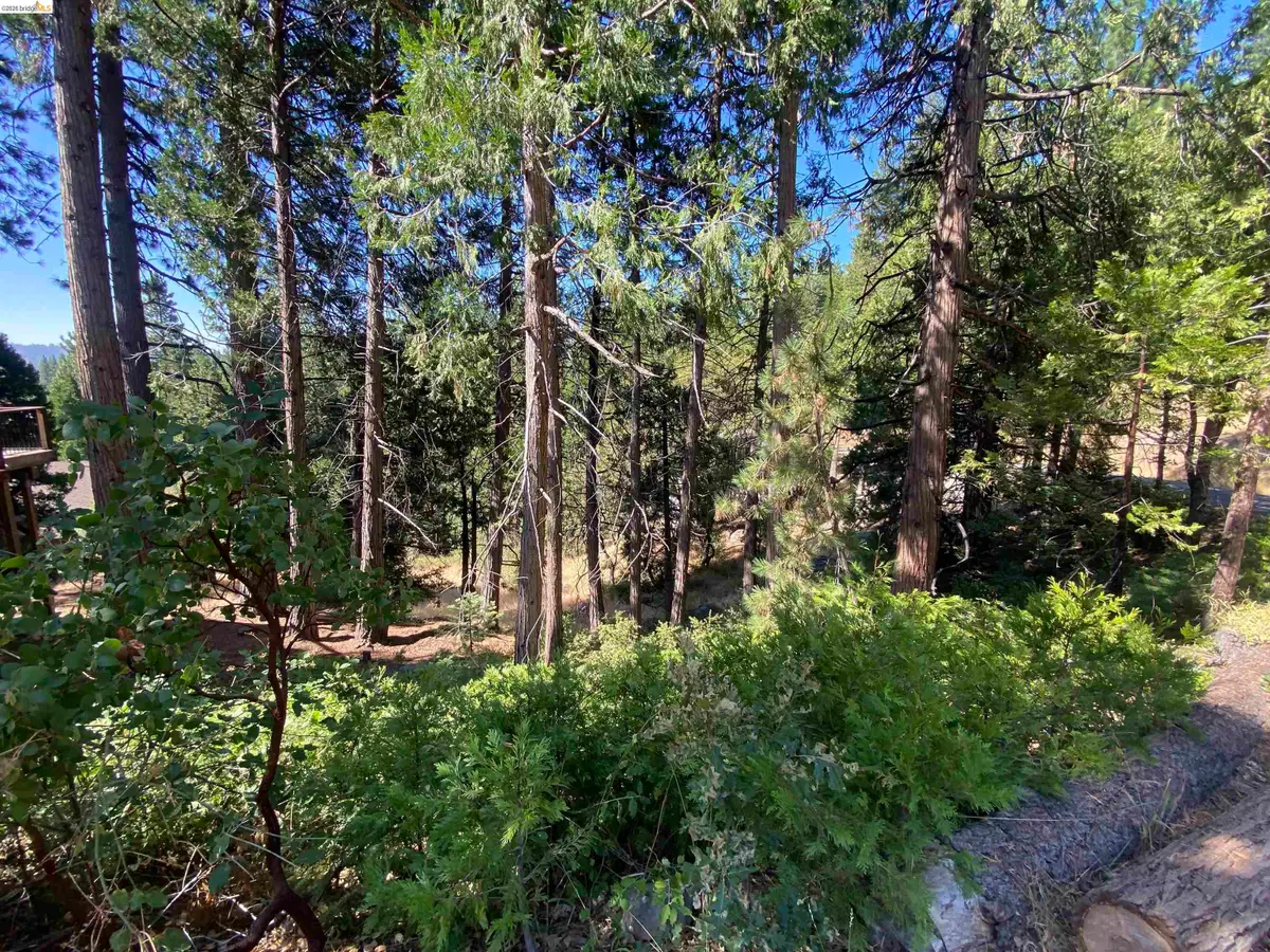 280 No Address - Vacant Lot, Long Barn, CA 95335 - #1
