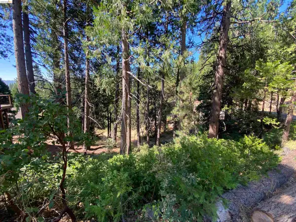 280 No Address - Vacant Lot, Long Barn, CA 95335