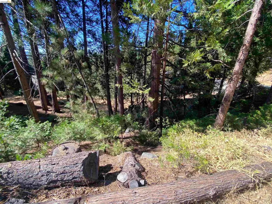 280 No Address - Vacant Lot, Long Barn, CA 95335 - #2