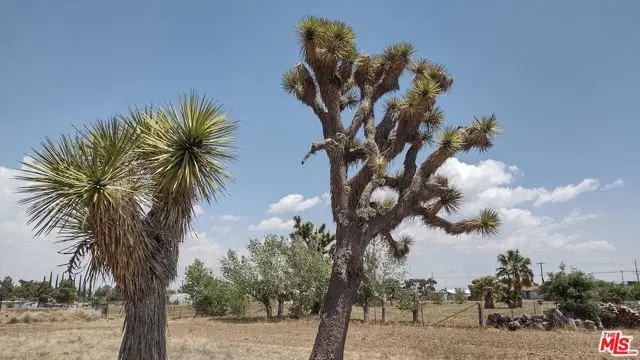 0 E Avenue O, Palmdale, CA 93550 - Image #2