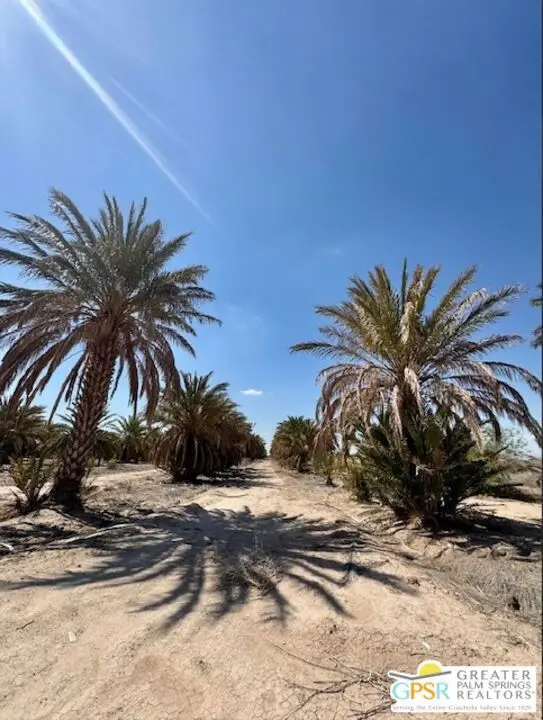 0 Noffsinger, Niland, CA 92257 - Image #1