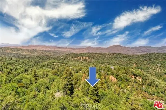 28270 Arbon Lane, Lake Arrowhead, CA 92352 - #2