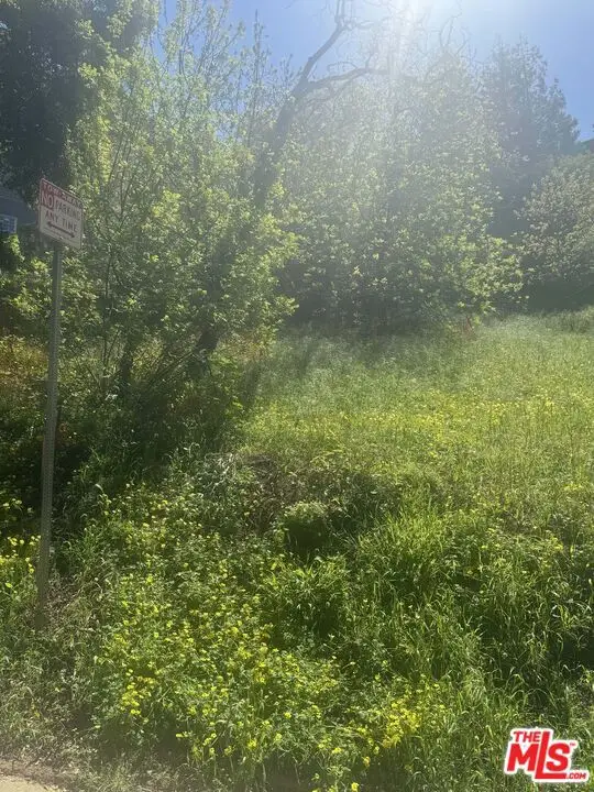 0 Groveland Drive, Los Angeles, CA 90046 - Image #2