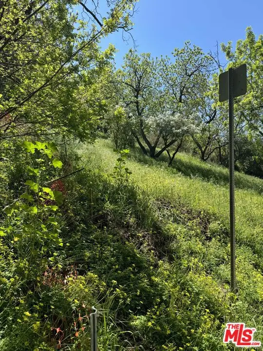 0 Groveland Drive, Los Angeles, CA 90046 - Image #3