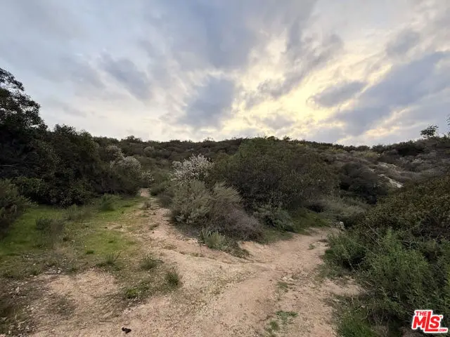 9739 N Estaban Way, Tujunga, CA 91042 - Image #3