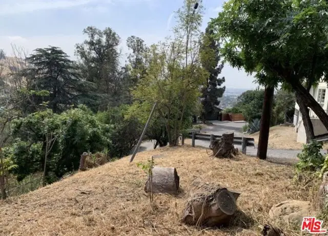 3584 E Tacoma Avenue, Los Angeles, CA 90065 - Image #3