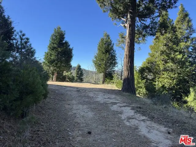 101 Mill Pond Road, Lake Arrowhead, CA 92352 - #2