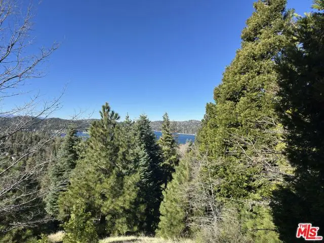 101 Mill Pond Road, Lake Arrowhead, CA 92352 - #3