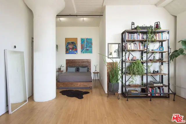 420 S San Pedro Street #319, Los Angeles, CA 90013 - Image #2