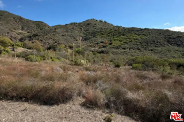34134 Mulholland Highway, Malibu, CA 90265 - #3