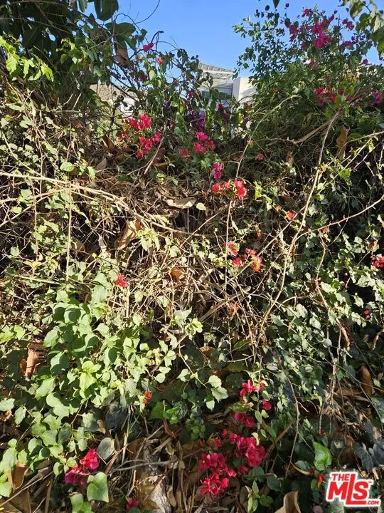 4299 Madison Avenue, Culver City, CA 90232 - Image #3