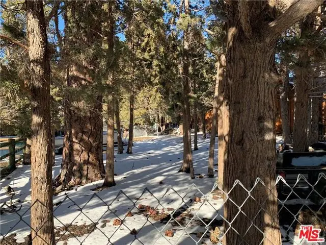 0 E Mountain View Boulevard, Big Bear City, CA 92314 - Image #1