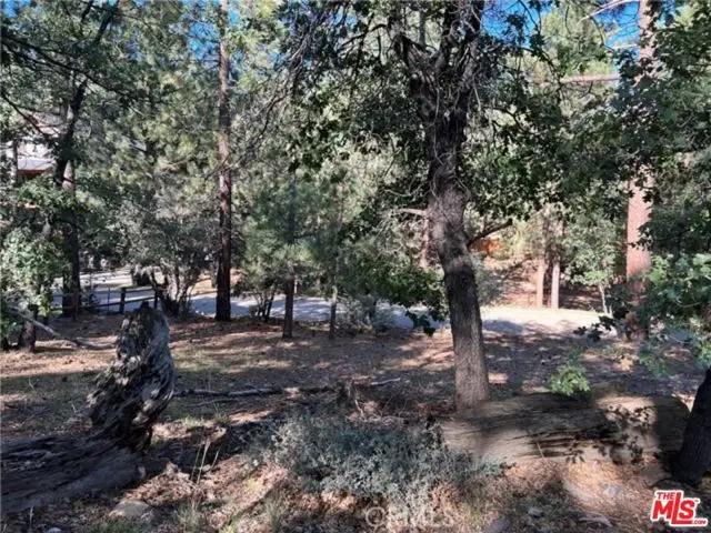 0 Kern Avenue, Sugarloaf, CA 92386 - #1