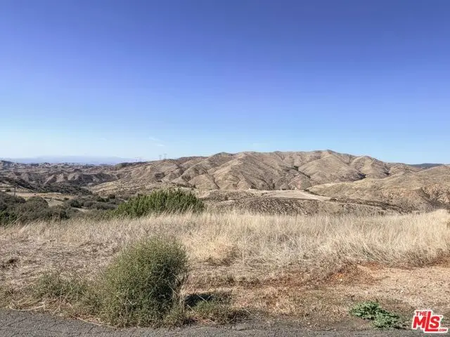 31800 Diamond View Ln, Santa Clarita, CA 91390 - #1